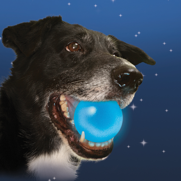 Light Up LED Dog Balls Toys with Sound