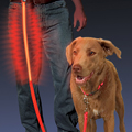 Nite Dawg - LED Pet Leash